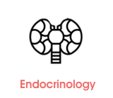 endokrinologie
