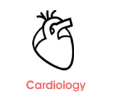 kardiologie
