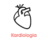 kardiologie